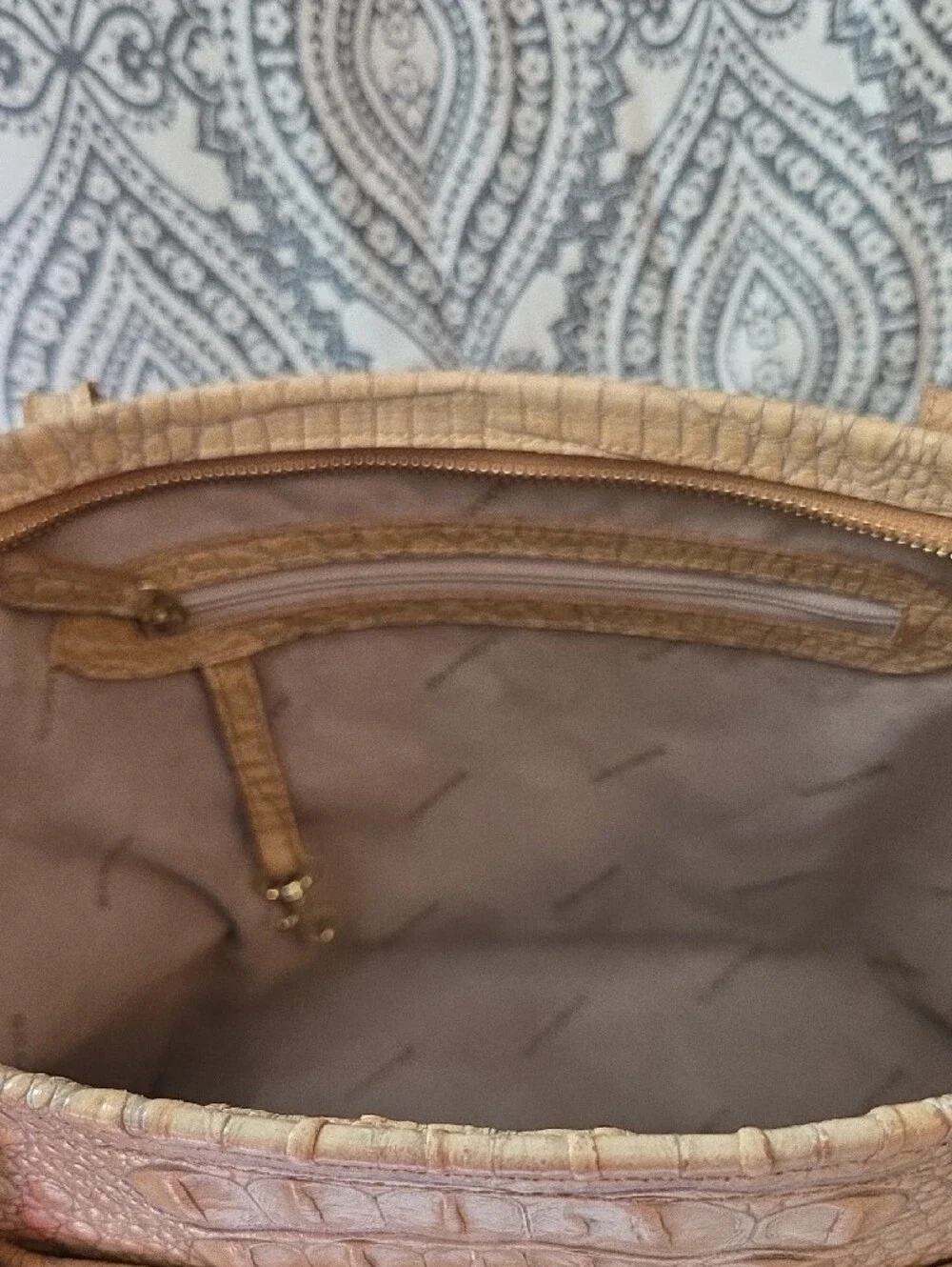 Brahmin medium asher